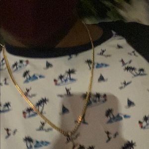 Meet your Posher, Victor